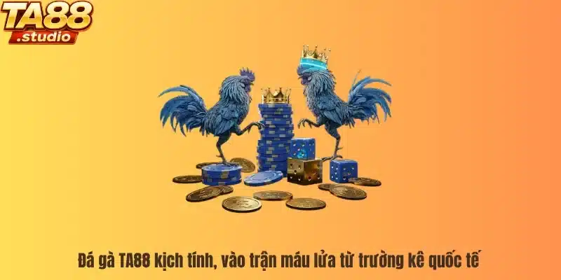 Đá gà TA88 kịch tính, vào trận máu lửa từ trường kê quốc tế