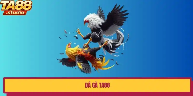 đá gà ta88