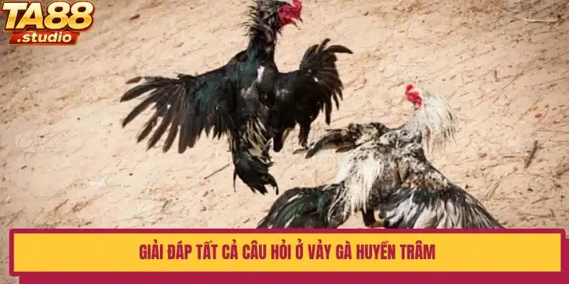 Giải đáp tất cả câu hỏi ở vảy gà Huyền Trâm